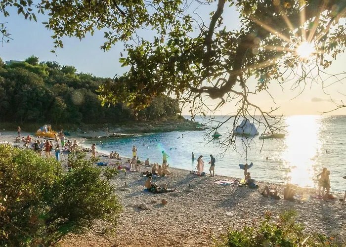 Cosy Zupanic * Πούλα